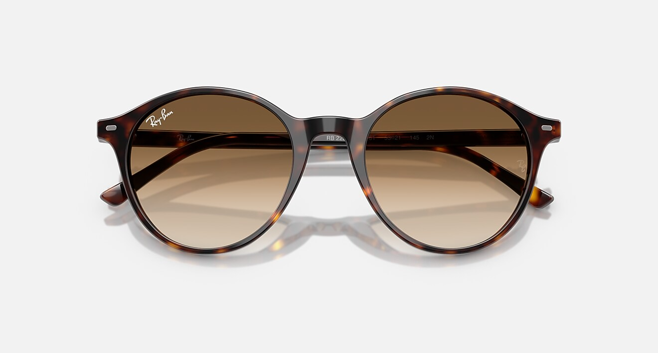 Ray-Ban RB2230 Bernard Brown with G-15 Brown Lenses