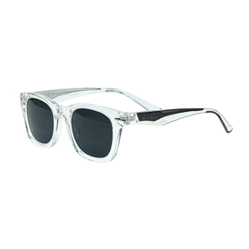 Ray-Ban Polished Transparent Black Shade