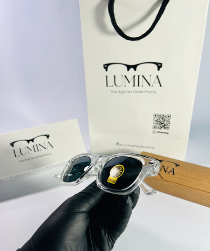 Ray-Ban Polished Transparent Green Shade