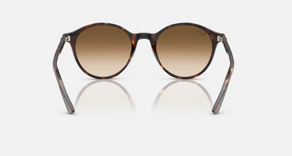 Ray-Ban RB2230 Bernard Brown with G-15 Brown Lenses